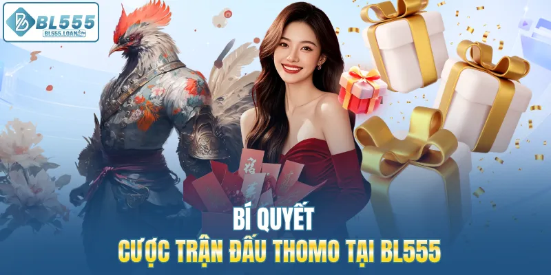 bí quyết cược trận thi đấu đá gà thomo