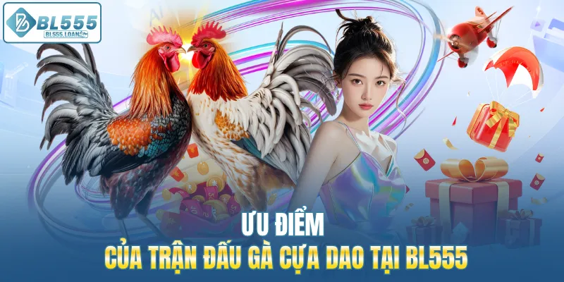 ưu diểm của đá gà bl555